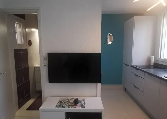Appartement T2 Climatise Proche Avec Parking - Fr-1-607-109 Agde